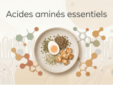 Acides aminés essentiels : tout comprendre pour mieux les assimiler