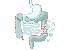Gaz intestinaux : causes, microbiote et solutions durables 