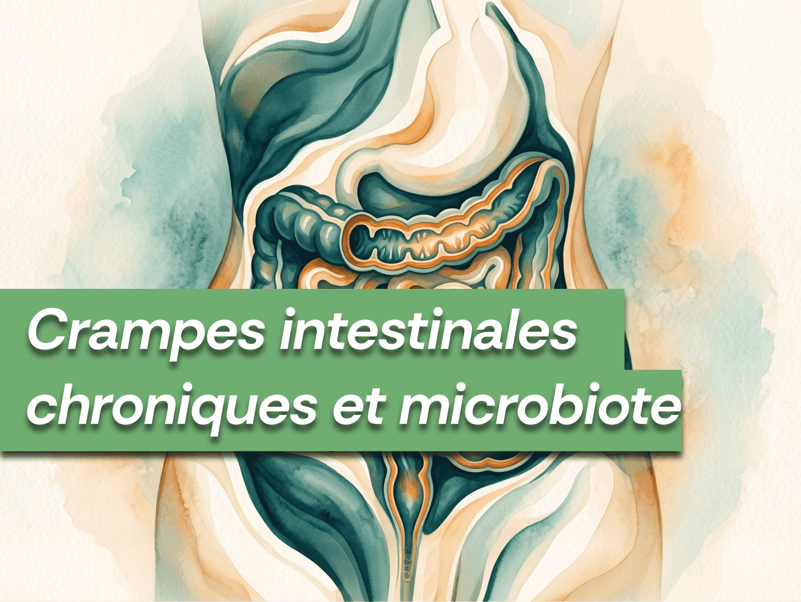 Crampes intestinales chroniques et microbiote : quel lien avec vos douleurs digestives ?