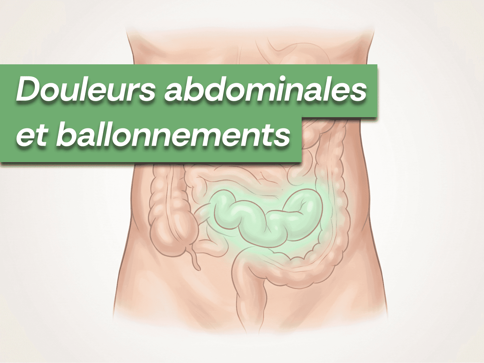Douleurs abdominales et ballonnements : le lien avec le microbiote