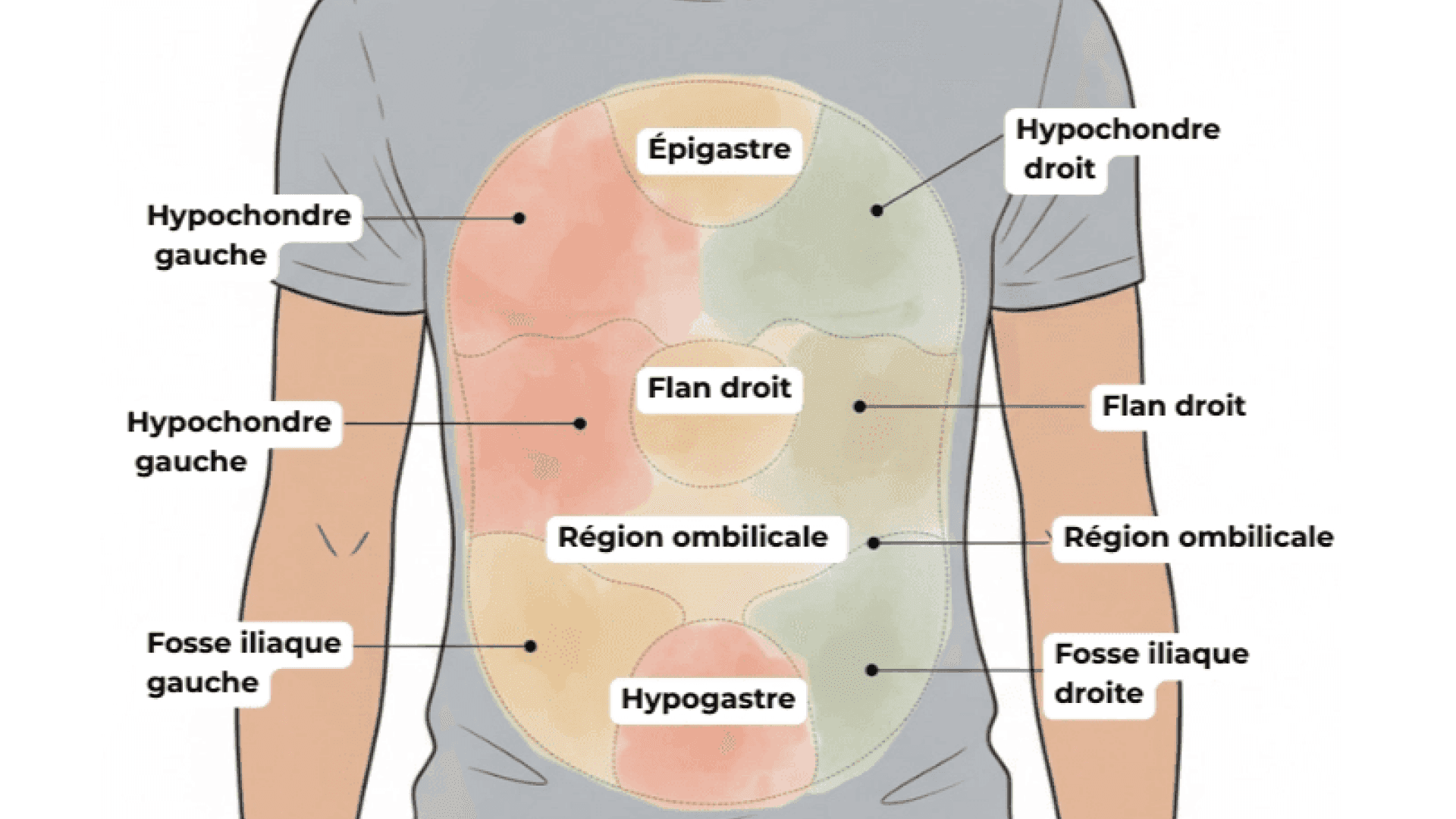Douleurs abdominales : causes, symptômes et solutions