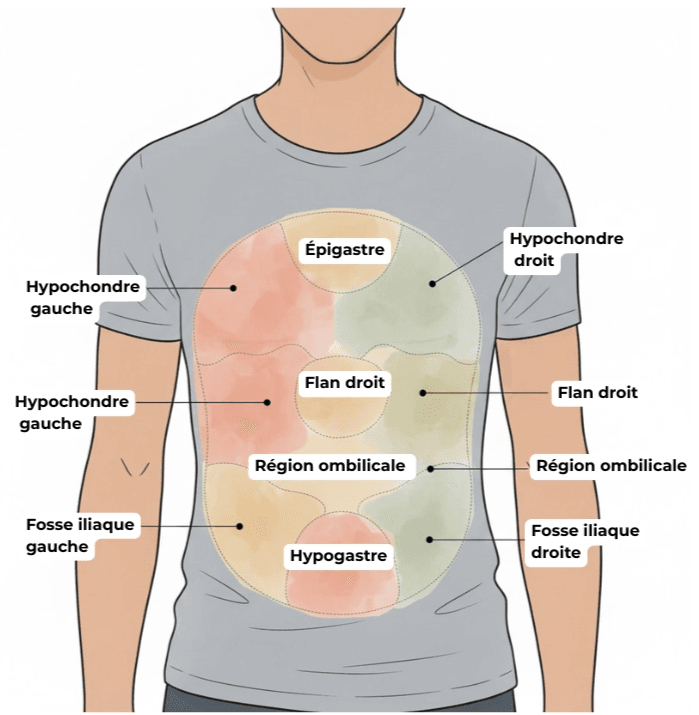 Douleurs abdominales : causes, symptômes et solutions 